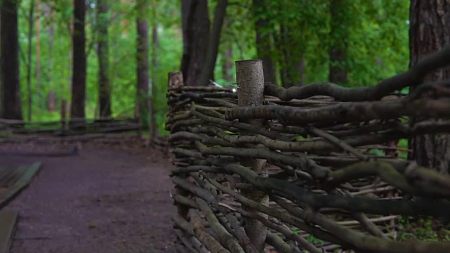 森林里的柳条篱笆。视频素材