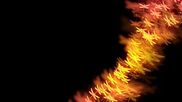 抽象的散景光在暗背景上闪耀着蜻蜓飞行的黄色和粉红色渐变色插图，无缝循环的4K动画与左拷贝空间视频下载