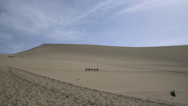 骆驼队在戈壁沙漠上行走视频素材