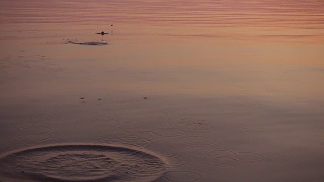 石头一跳，美丽的夕阳映照在水面上。视频下载