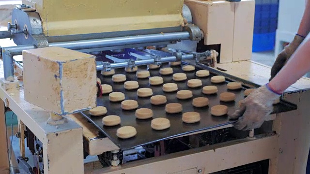 糖果工厂车间的自动烘焙甜饼生产线，配有设备、机械和工人视频素材