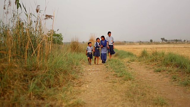 孩子们在乡间小路上奔跑视频素材