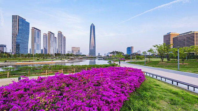 仁川，松岛国际商务区中央公园，韩国视频素材