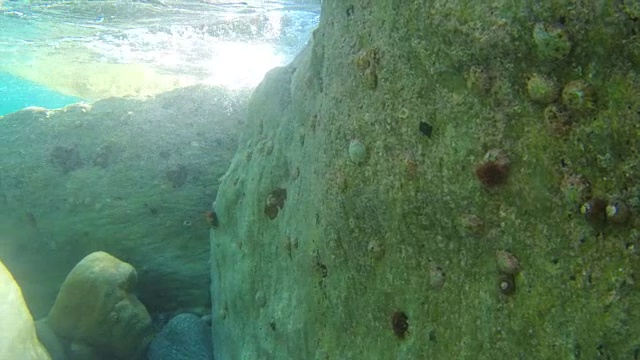 海底幻想石与野视频素材