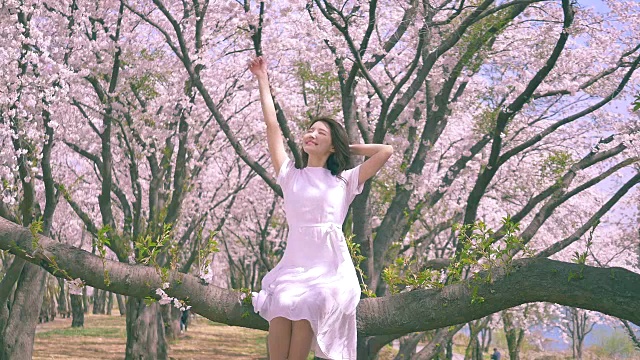 一个韩国女人在一棵樱花树的树干上微笑视频下载