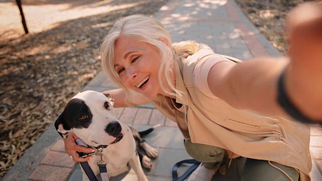 快乐时尚高级女人自拍与狗在自然视频素材
