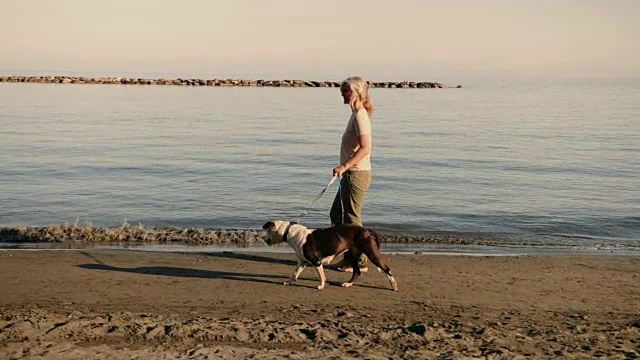 夕阳西下，成熟的女人带着狗在沙滩上散步视频素材