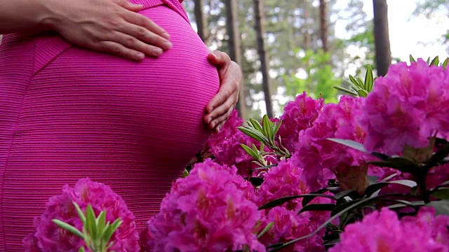 孕妇穿着衣服，手握肚脐上自然背景的杜鹃花视频素材