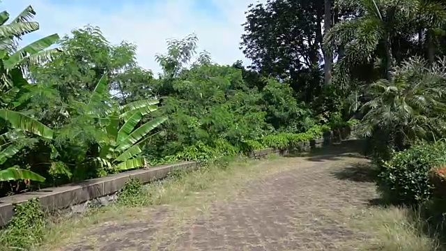 慢镜头游客在岛上的植物园散步视频下载