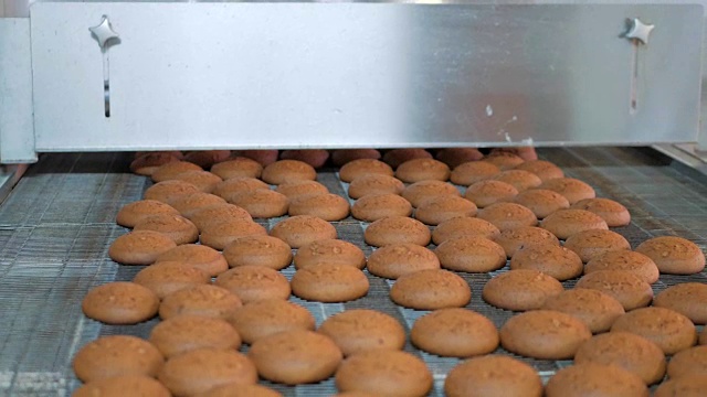 自动烘培生产线是糖果厂车间、食品生产上的甜曲奇输送带设备视频素材
