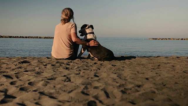 成熟的女人在沙滩上放松和宠物狗视频素材