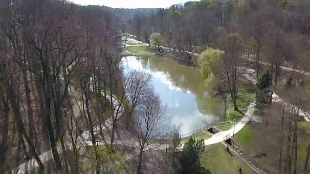 春天公园里的树和胡同视频素材