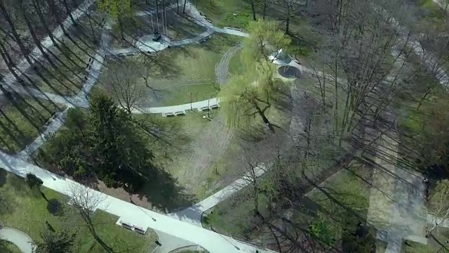 春天公园里的树和胡同视频素材
