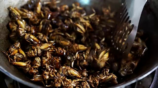 烤蟋蟀，锅里炸昆虫，做饭用视频素材