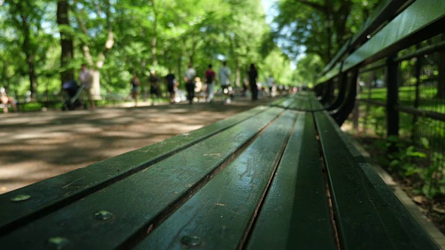 缓慢的多莉建立拍摄的绿色长凳在中央公园视频下载