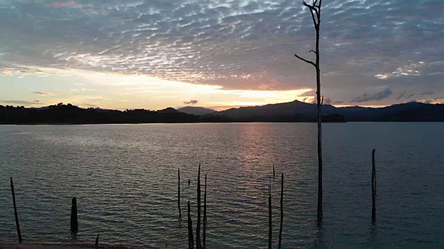4k摄影车拍摄的日落时分湖中树木死亡的照片。视频素材