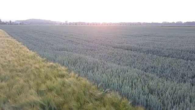 德国农田的鸟瞰图视频下载