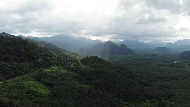 4k鸟瞰图和放大云雾热带雨林在考索国家公园。视频素材
