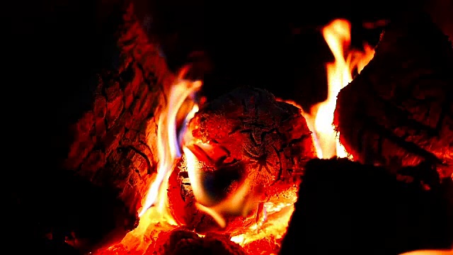 在壁炉里燃烧木头。特写镜头。美丽的火焰视频素材
