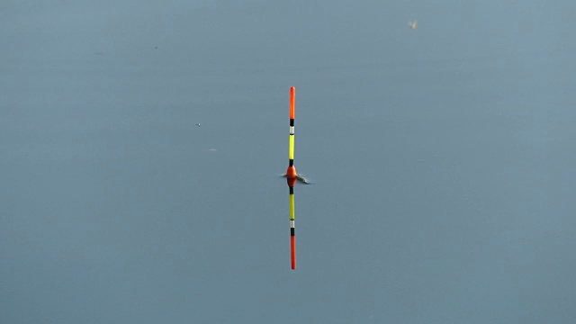 钓鱼时在水中放置钓竿的浮子。水中的浮子表明鱼在上钩。视频下载