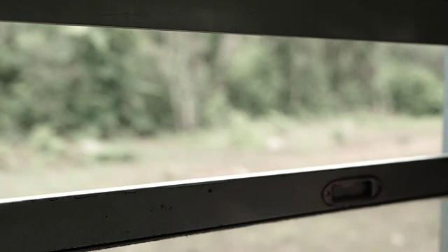 窗外绿色森林背景景象。视频素材