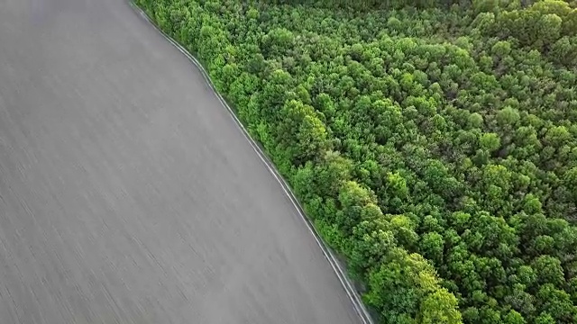 航拍全景视频从无人机到森林绿地和农田与道路划分他们在夏季傍晚日落，全高清分辨率视频。视频素材