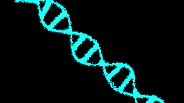 数字全息蓝色DNA。旋转的DNA链是由单个元素组装而成的。基因工程的科学概念。科学的片段。4 k视频下载