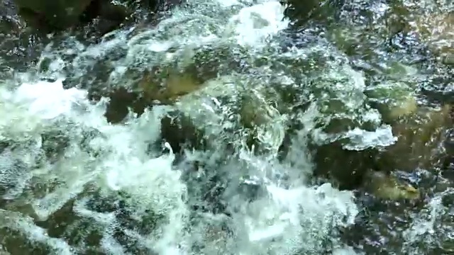 近距离的森林溪流流过岩石视频下载