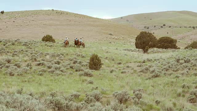 骑在马上的牛仔和女牛仔视频下载