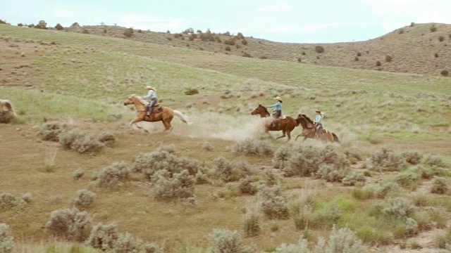 骑在马上的牛仔和女牛仔视频下载