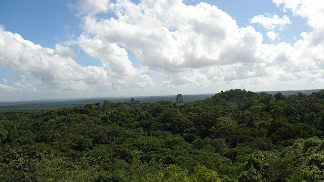 弗洛雷斯，蒂卡尔——从第四神庙的顶部看到的雨林树冠。危地马拉的主要广场和第三神庙位于树木之上。视频素材