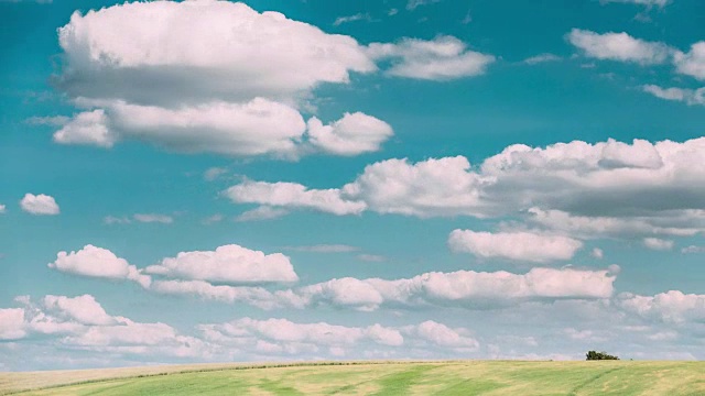 夏季乡村乡村田野草地景观下风景戏剧性的天空与蓬松的云视频下载