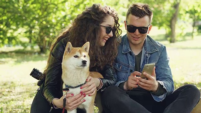 一名年轻女子坐在草地上抚摸她的狗，而她的男友正在展示她的智能手机屏幕，人们有说有笑。周末在公园的概念。视频下载