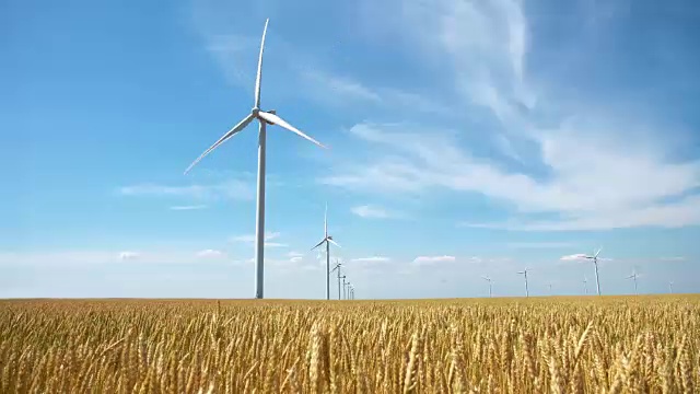 一组组的风车在黄土地上为发电生产小麦视频素材