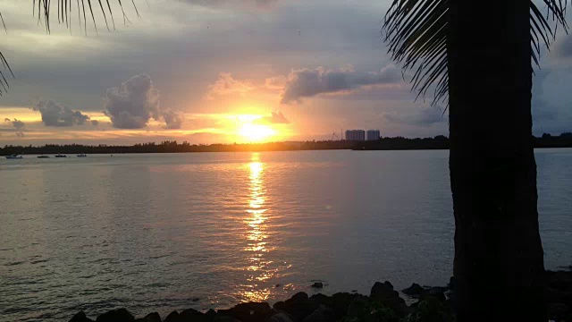 迈阿密湾的日落视频下载