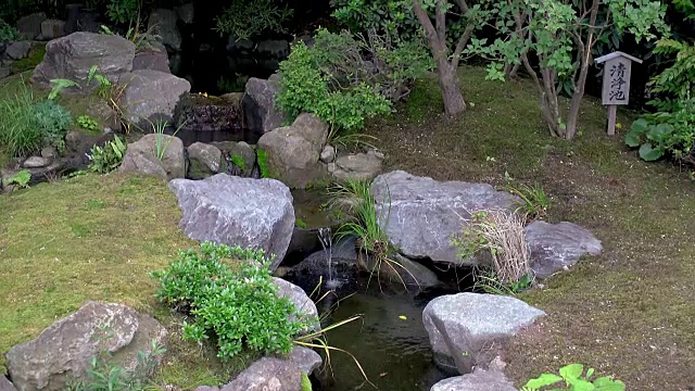 一个安静的日式花园中的小池塘视频下载