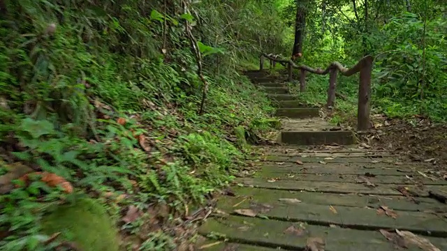 走在泰国北部热带雨林的台阶上。视频素材