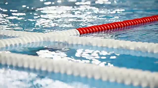 游泳池比赛跑道视频下载