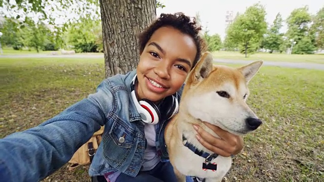 这是一个快乐的非洲裔美国少女和可爱的日本柴犬拿着相机自拍，摆姿势看着相机。人与动物的概念。视频素材