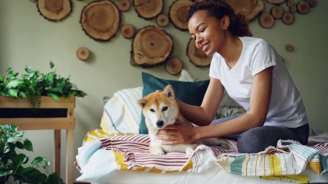 快乐的非洲裔美国少女是爱抚宠物狗，抚摸和亲吻它表达爱和关心的床上的卧室在公寓。青春与动物的概念。视频素材