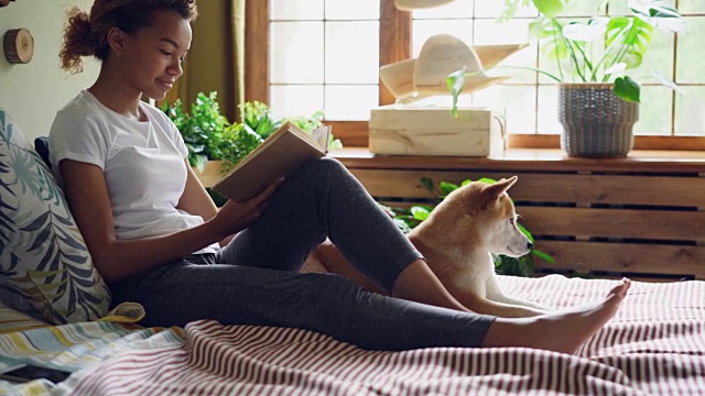 迷人的女孩正在看书和抚摸美丽的狗躺在床上靠近它的主人在家里。现代室内有大窗户，绿色植物和木制装饰可见。视频下载