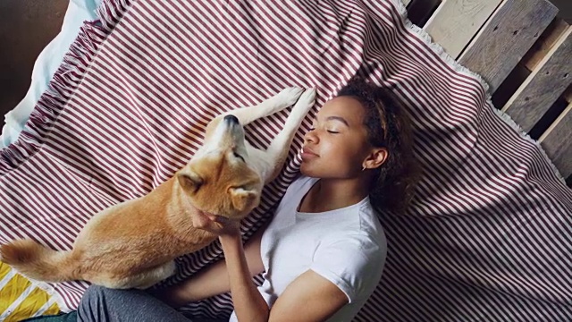 俯视图迷人的非洲裔美国女人抚摸美丽的柴犬躺在床上一起在家里。年轻人，家畜，幸福和爱的观念。视频素材