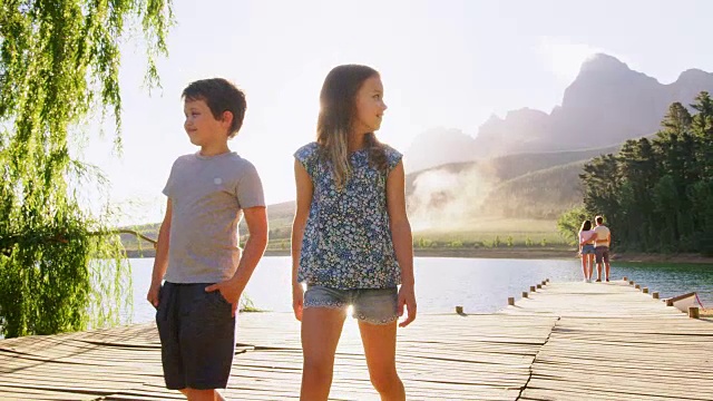 孩子们在湖边欣赏风景，父母则站在防波堤上视频素材