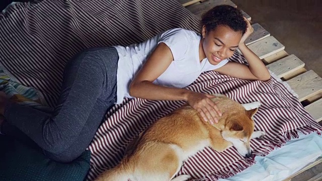 善良的非裔美国女孩抚摸着躺在家里床上的可爱的宠物狗，享受着休息和宁静。可以看到现代的木床和明亮的亚麻布。视频素材