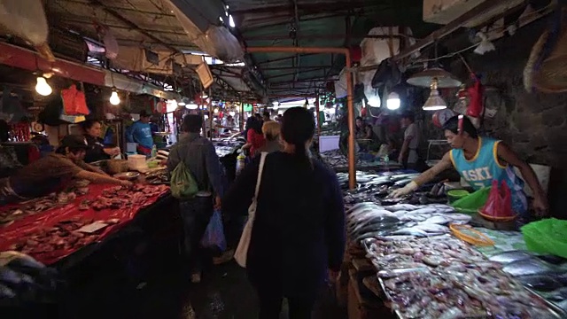 菲律宾鱼市场，碧瑶。替身拍摄视频下载