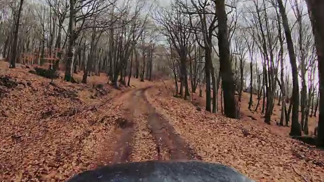 POV汽车在一个山口在秋天行驶视频素材