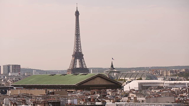 参观埃菲尔铁塔,法国视频素材