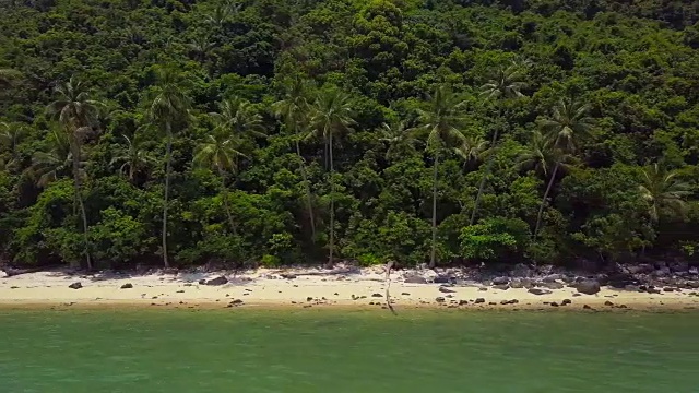 空中飞行热带海滩椰子树视频素材
