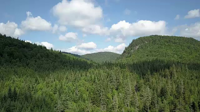 夏季北方自然森林和山地鸟瞰图视频素材