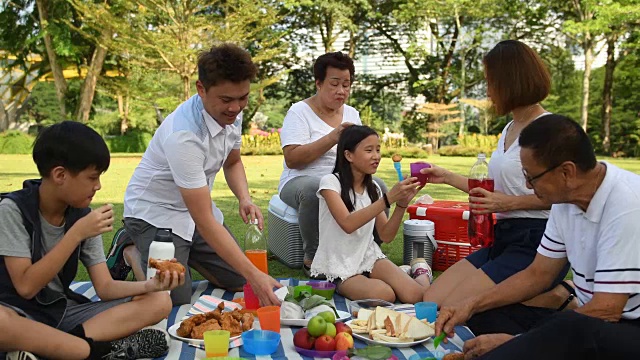 几代同堂的家庭在公园野餐视频素材